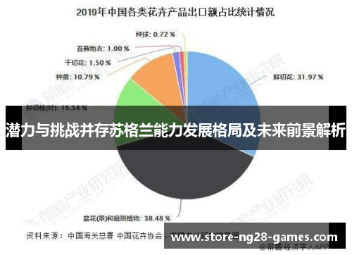 潜力与挑战并存苏格兰能力发展格局及未来前景解析
