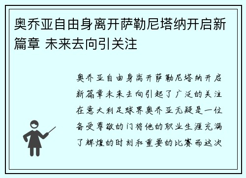 奥乔亚自由身离开萨勒尼塔纳开启新篇章 未来去向引关注